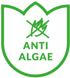ANTI-ALGE-268x300.png